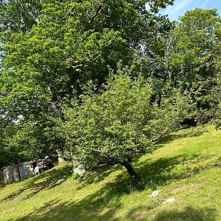 Vivario  Gite Chez Pierrot Bed & Breakfast エクステリア 写真